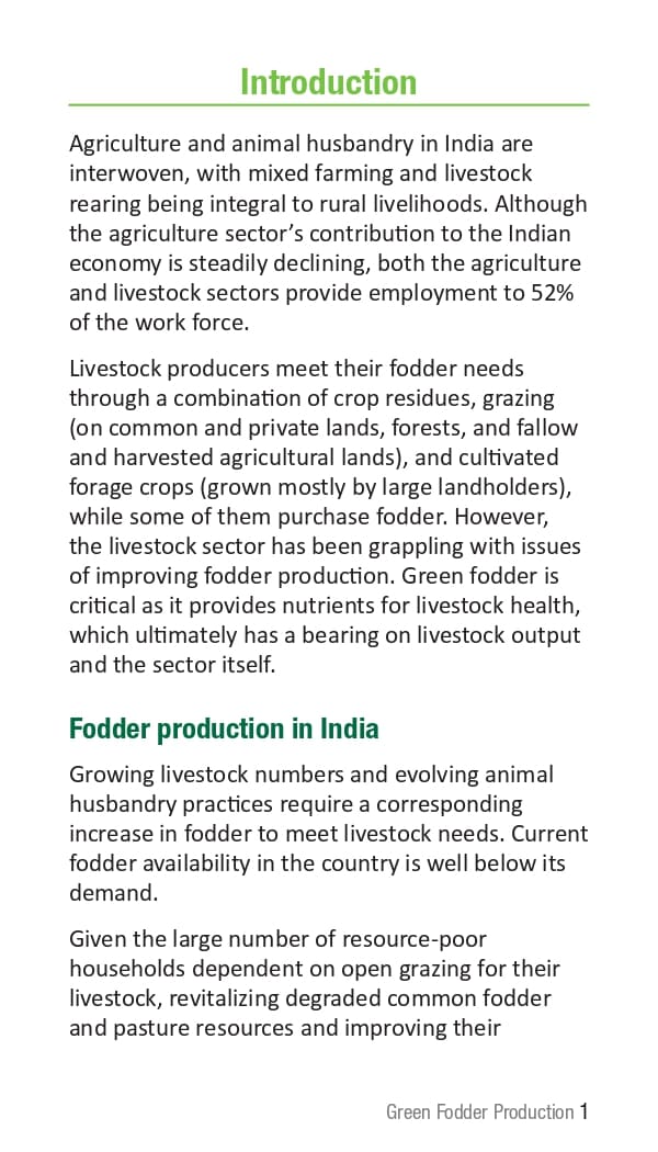 10 ICRISAT Green-fodder-production_Booklet_page-0007.jpg