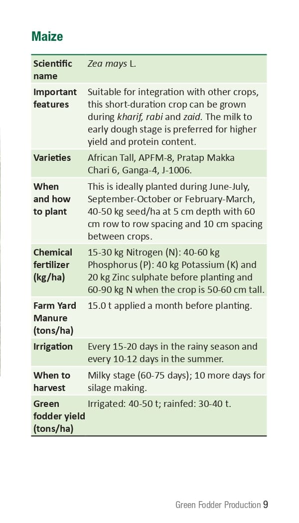 10 ICRISAT Green-fodder-production_Booklet_page-0015.jpg
