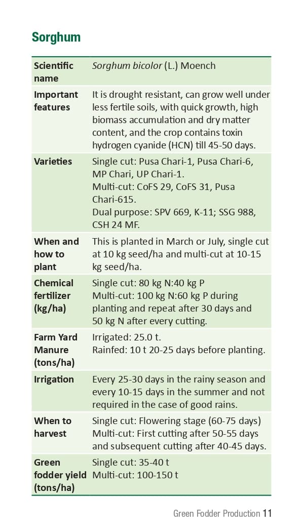 10 ICRISAT Green-fodder-production_Booklet_page-0017.jpg