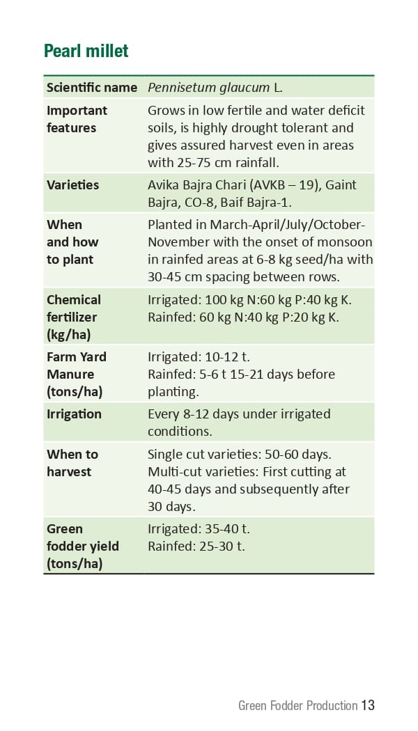 10 ICRISAT Green-fodder-production_Booklet_page-0019.jpg