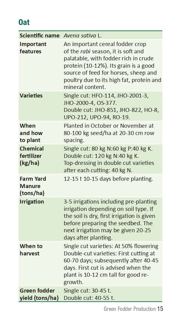 10 ICRISAT Green-fodder-production_Booklet_page-0021.jpg