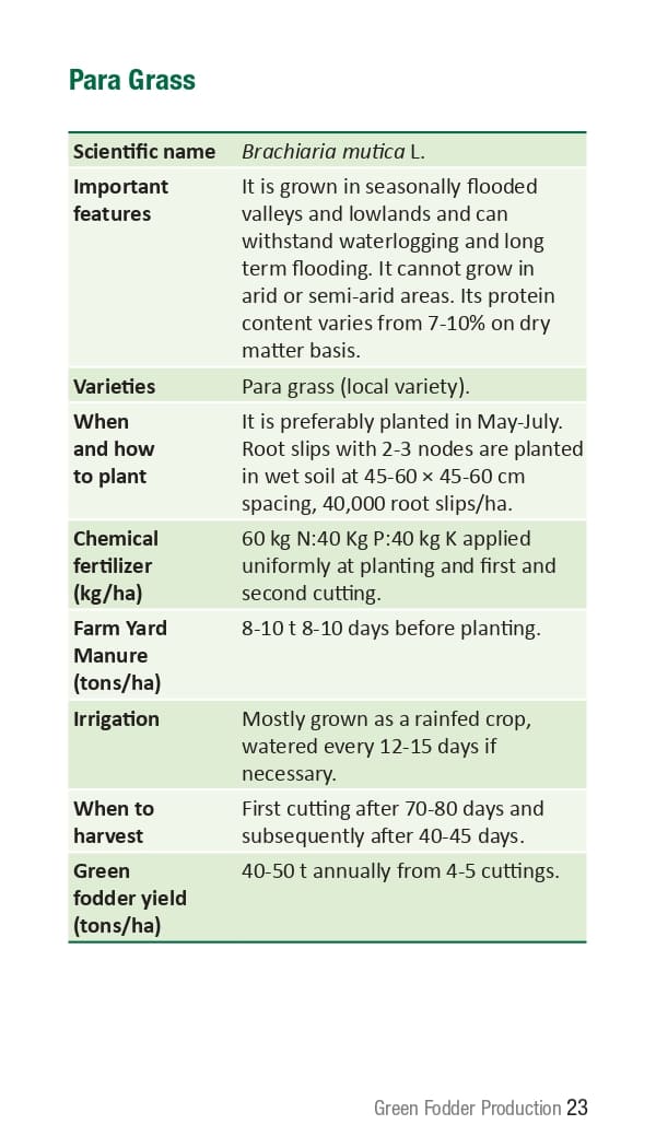 10 ICRISAT Green-fodder-production_Booklet_page-0029.jpg