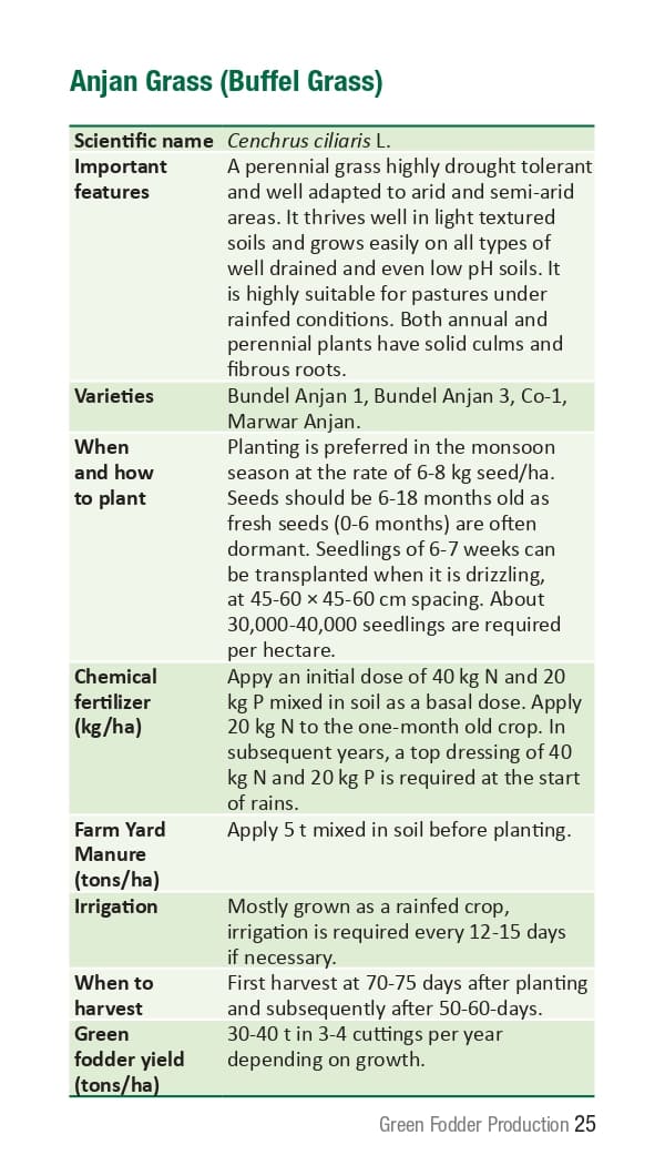 10 ICRISAT Green-fodder-production_Booklet_page-0031.jpg