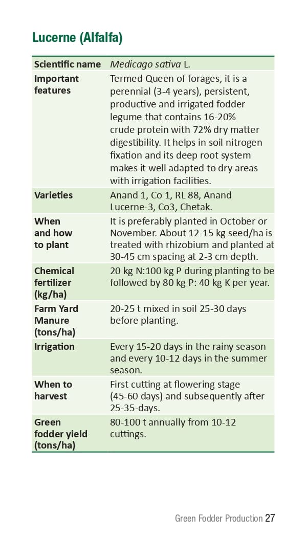 10 ICRISAT Green-fodder-production_Booklet_page-0033.jpg