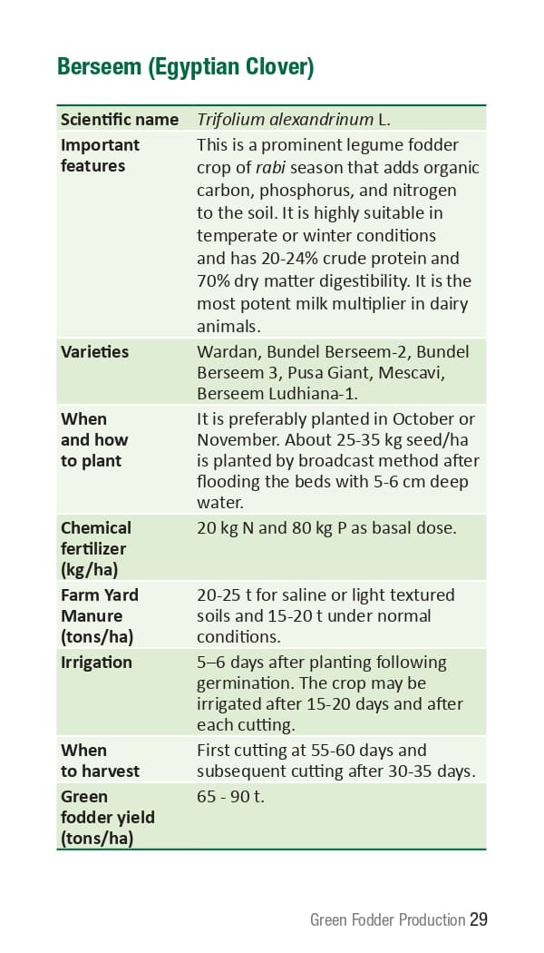 10 ICRISAT Green-fodder-production_Booklet_page-0035.jpg