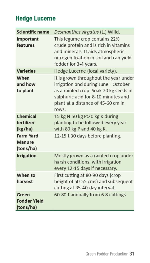 10 ICRISAT Green-fodder-production_Booklet_page-0037.jpg