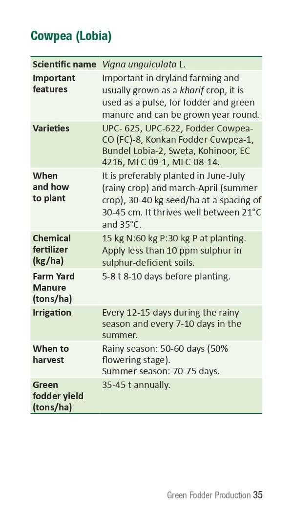 10 ICRISAT Green-fodder-production_Booklet_page-0041.jpg