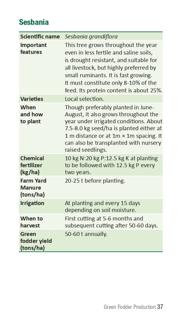 10 ICRISAT Green-fodder-production_Booklet_page-0043.jpg