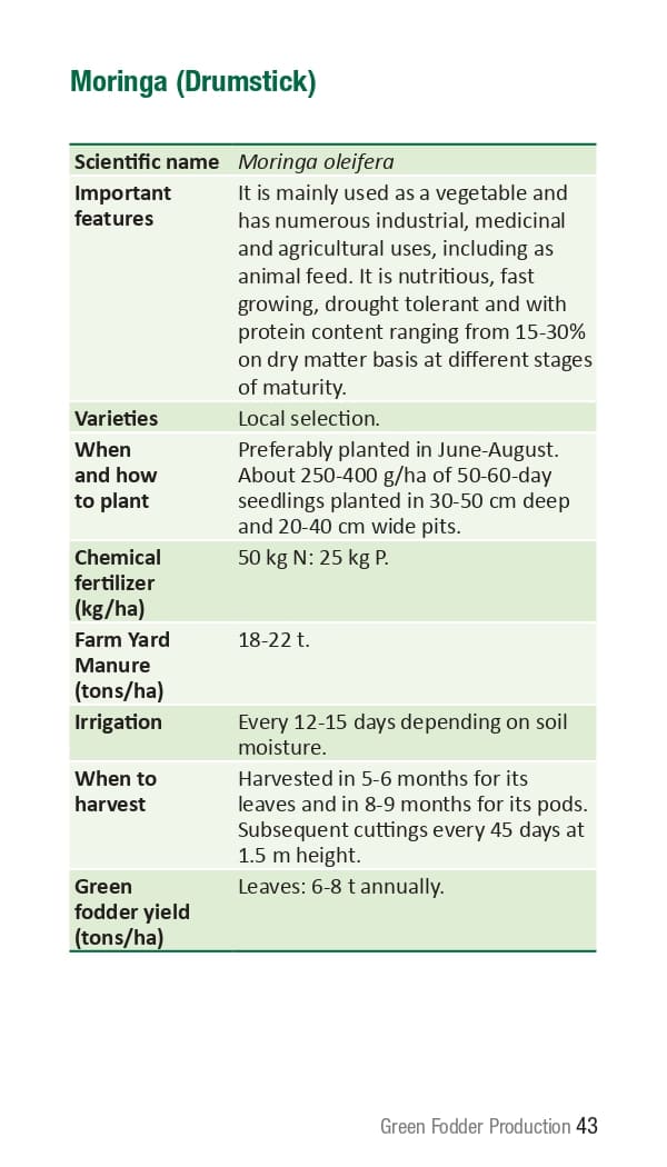 10 ICRISAT Green-fodder-production_Booklet_page-0049.jpg