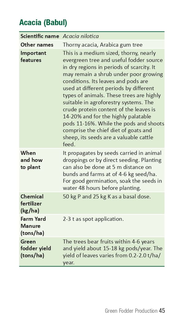 10 ICRISAT Green-fodder-production_Booklet_page-0051.jpg