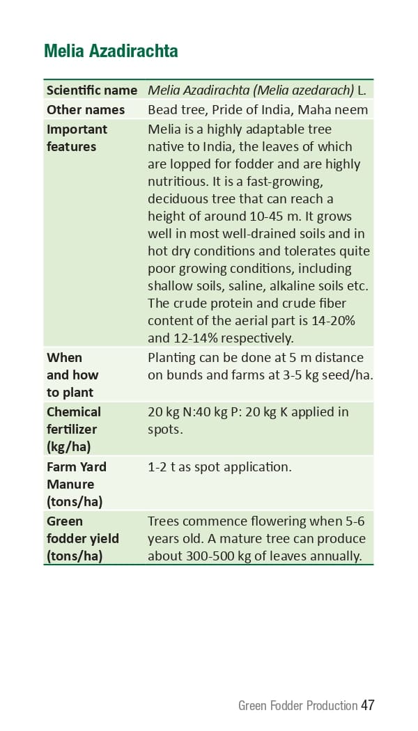 10 ICRISAT Green-fodder-production_Booklet_page-0053.jpg