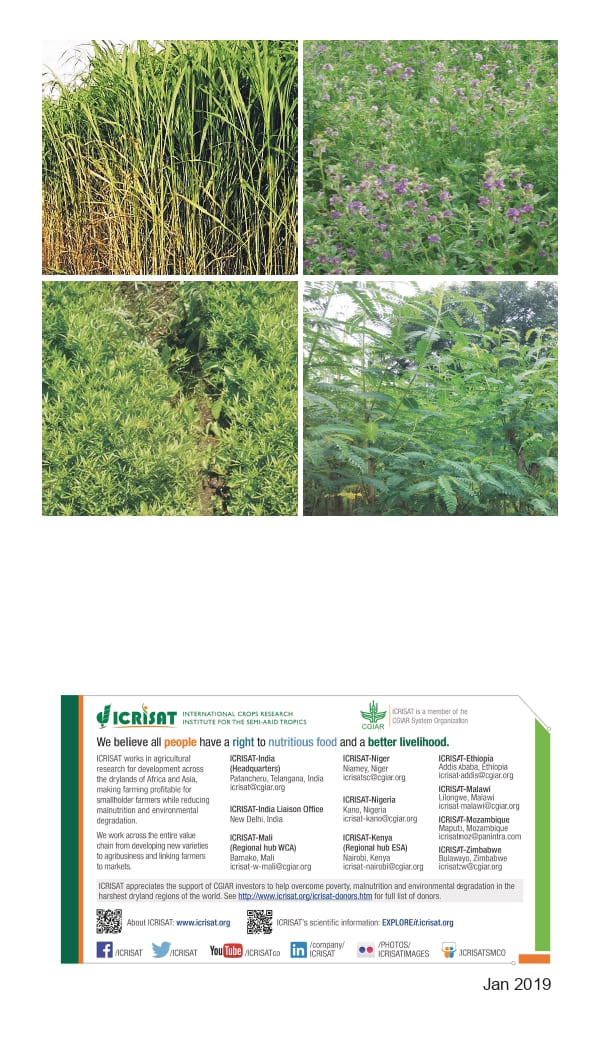 10 ICRISAT Green-fodder-production_Booklet_page-0059.jpg