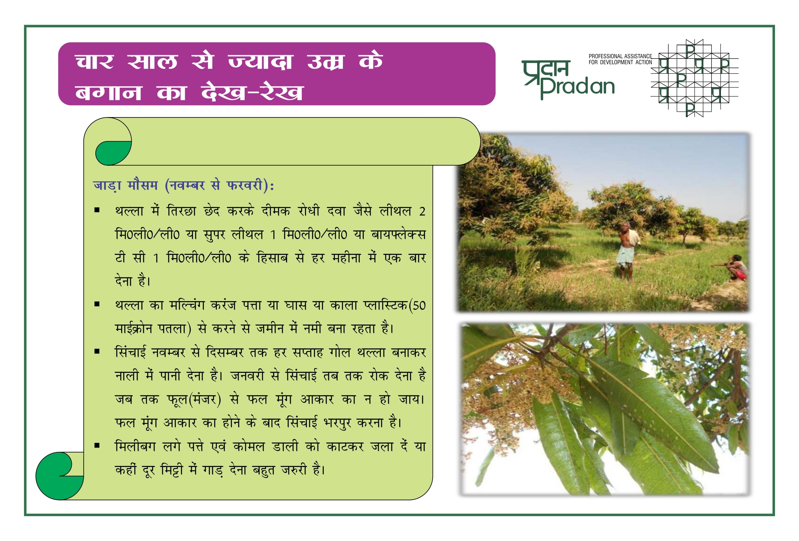 Aam Bagwani - Prashikshan Pustika_page-0025.jpg