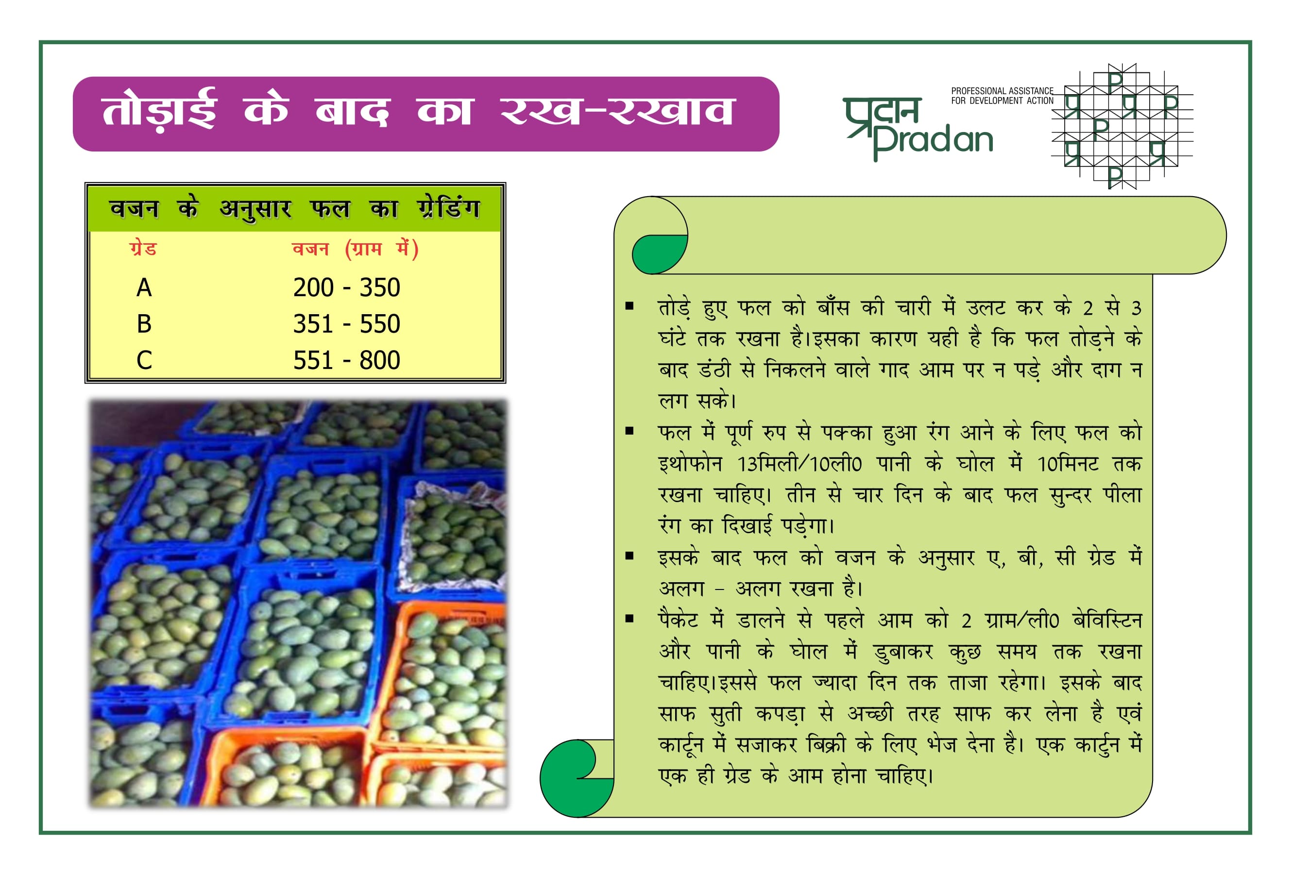 Aam Bagwani - Prashikshan Pustika_page-0031.jpg