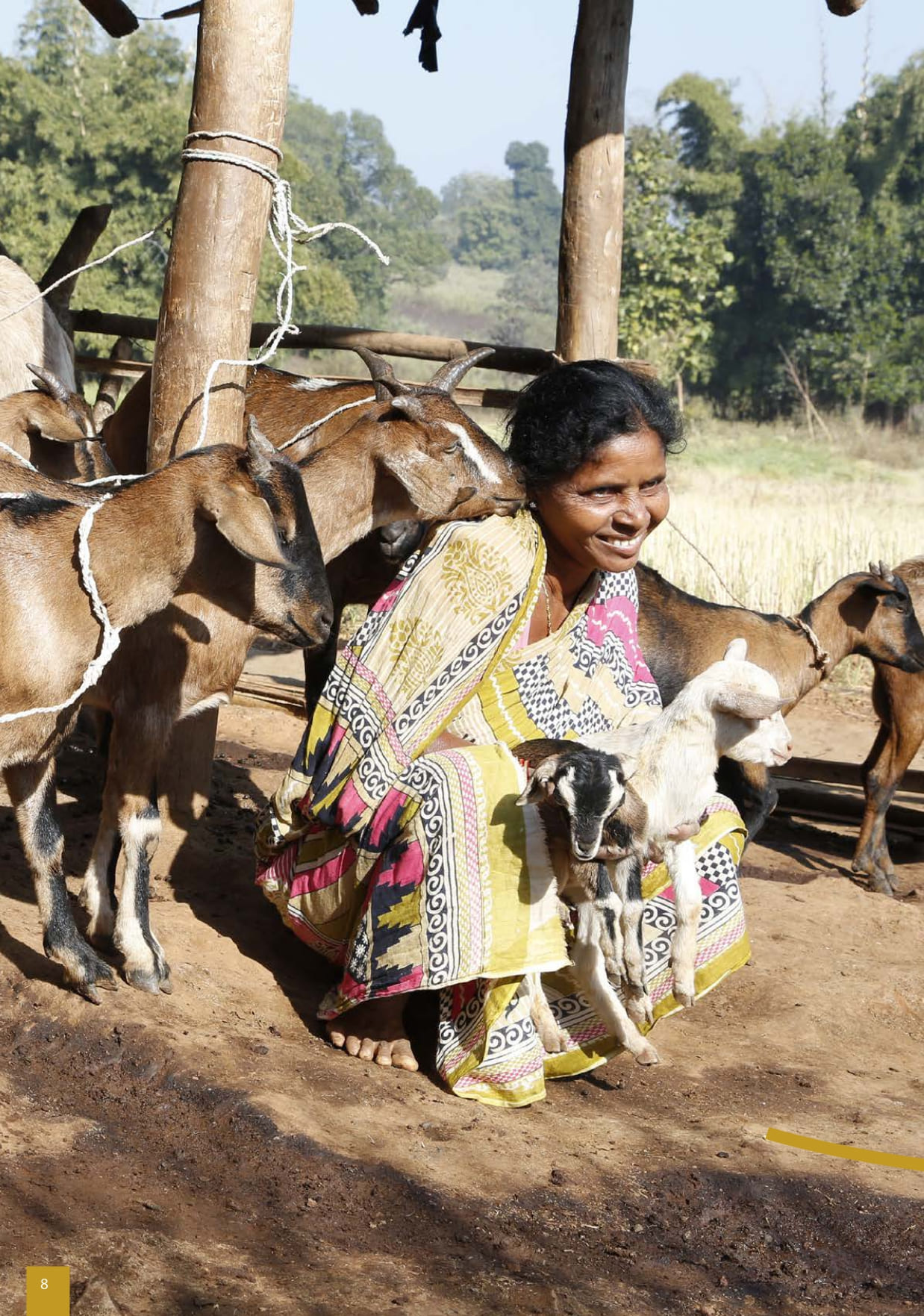 Adivasi Livelihoods Report_page-0008.jpg