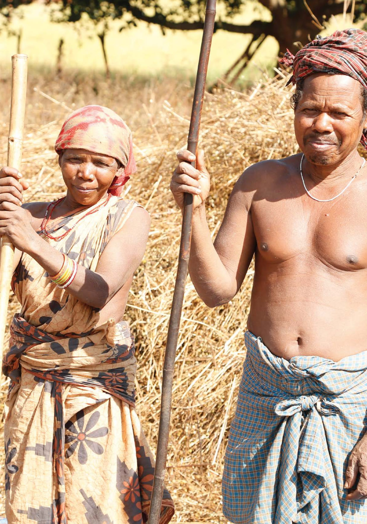 Adivasi Livelihoods Report_page-0014.jpg