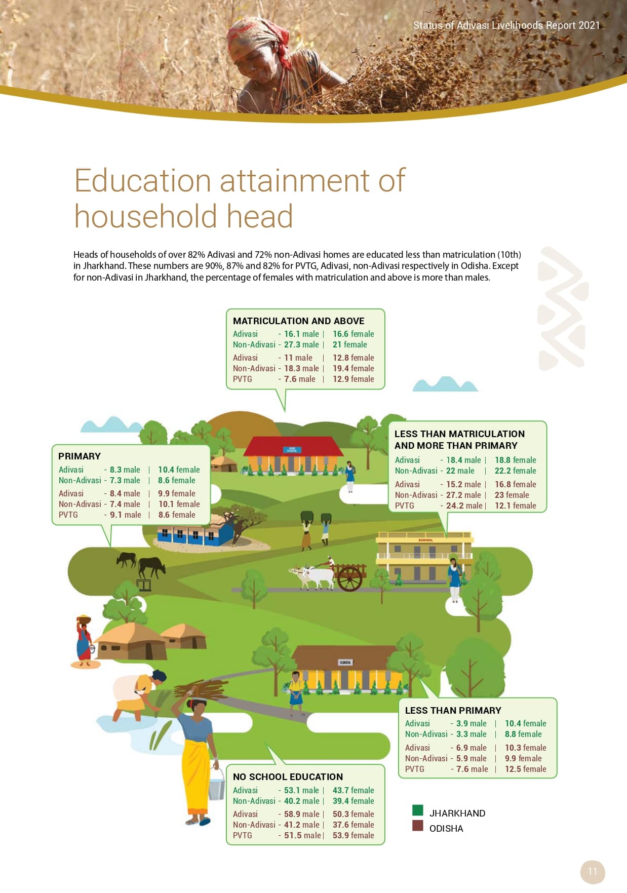 Adivasi Livelihoods Report_page-0021.jpg