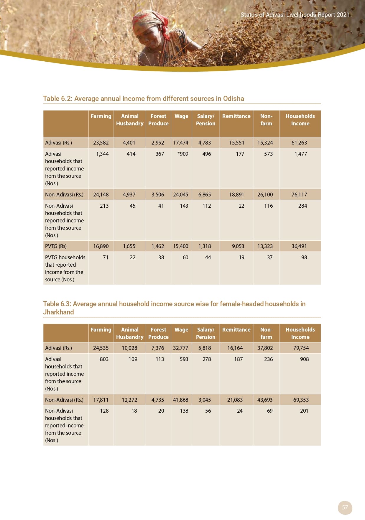 Adivasi Livelihoods Report_page-0067.jpg