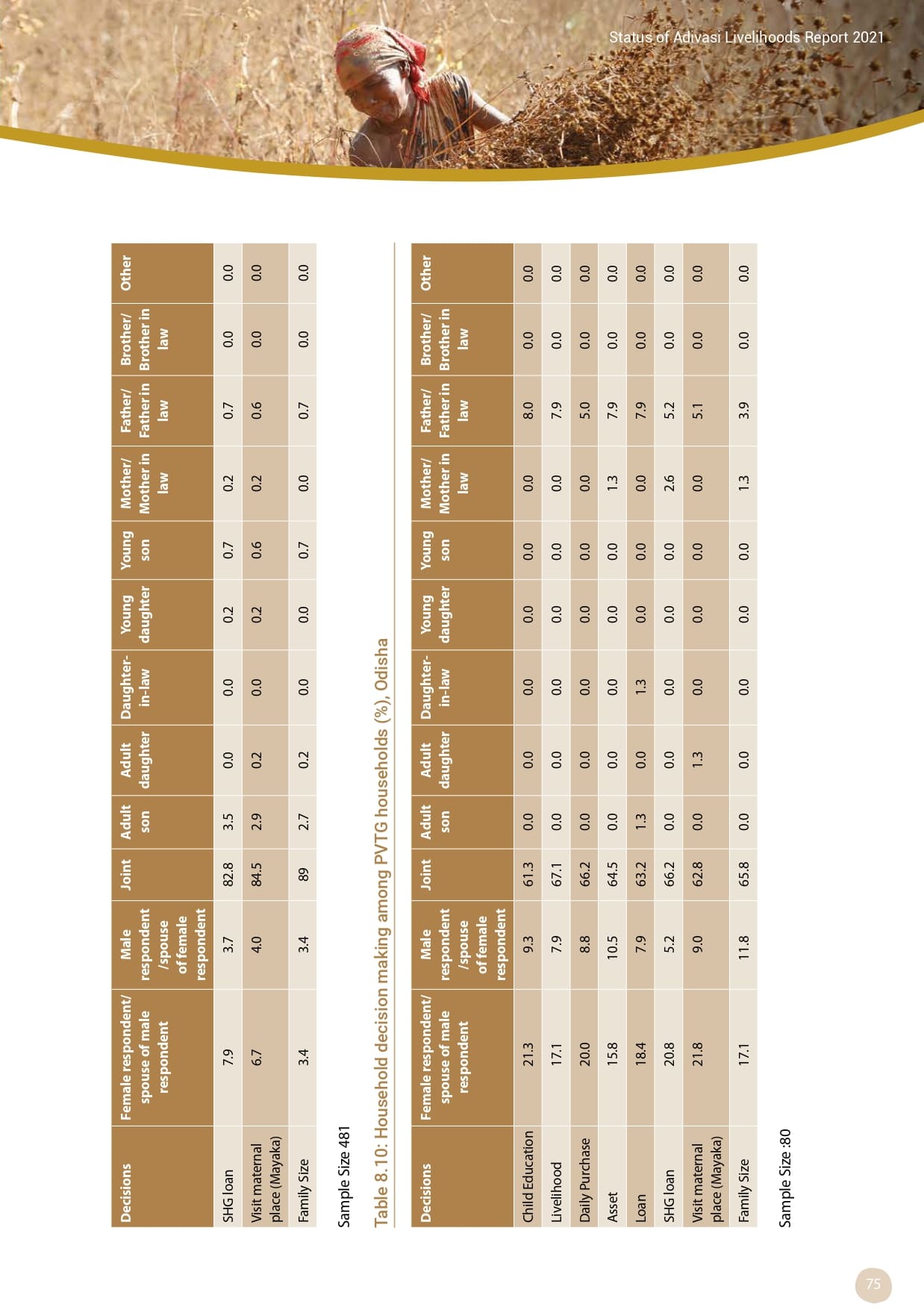 Adivasi Livelihoods Report_page-0085.jpg