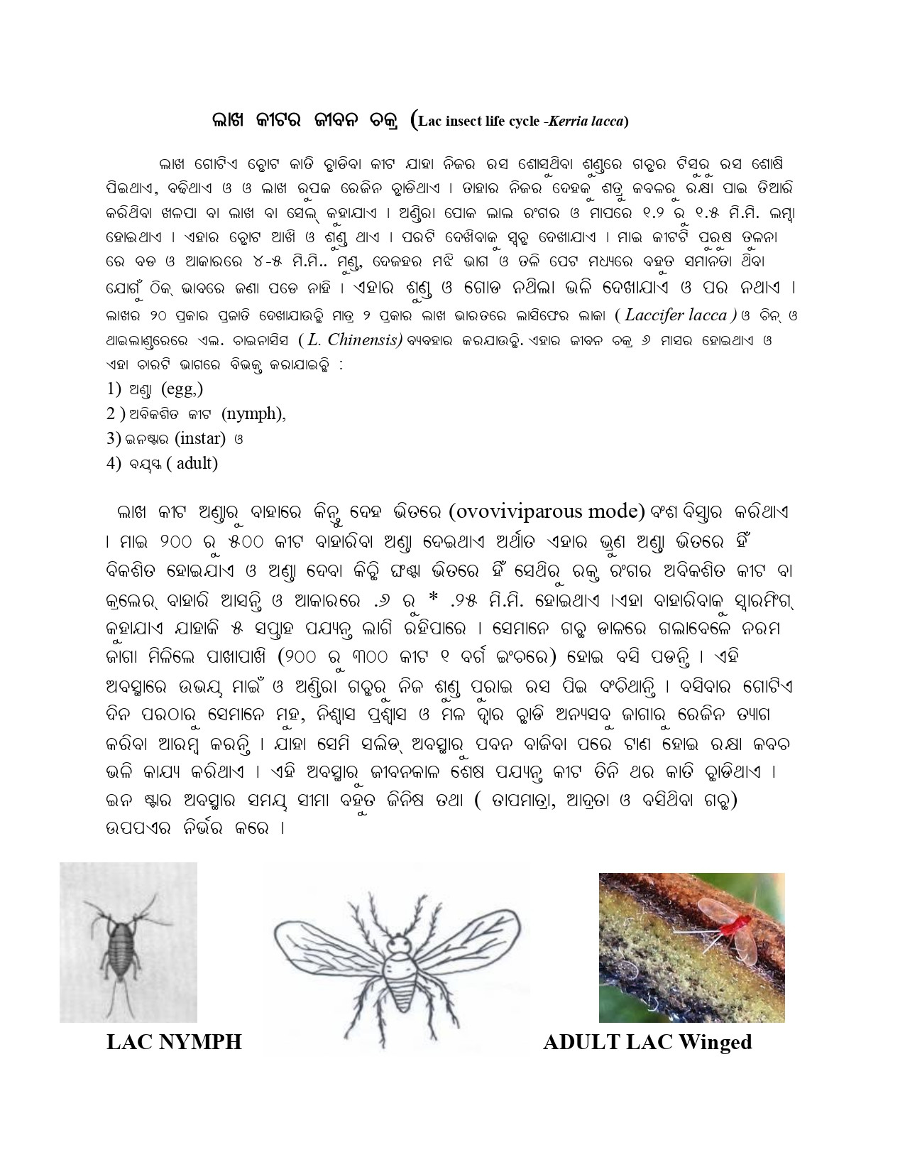 Lac Insect Life Cycle - Kerria Lacca _page-0001.jpg