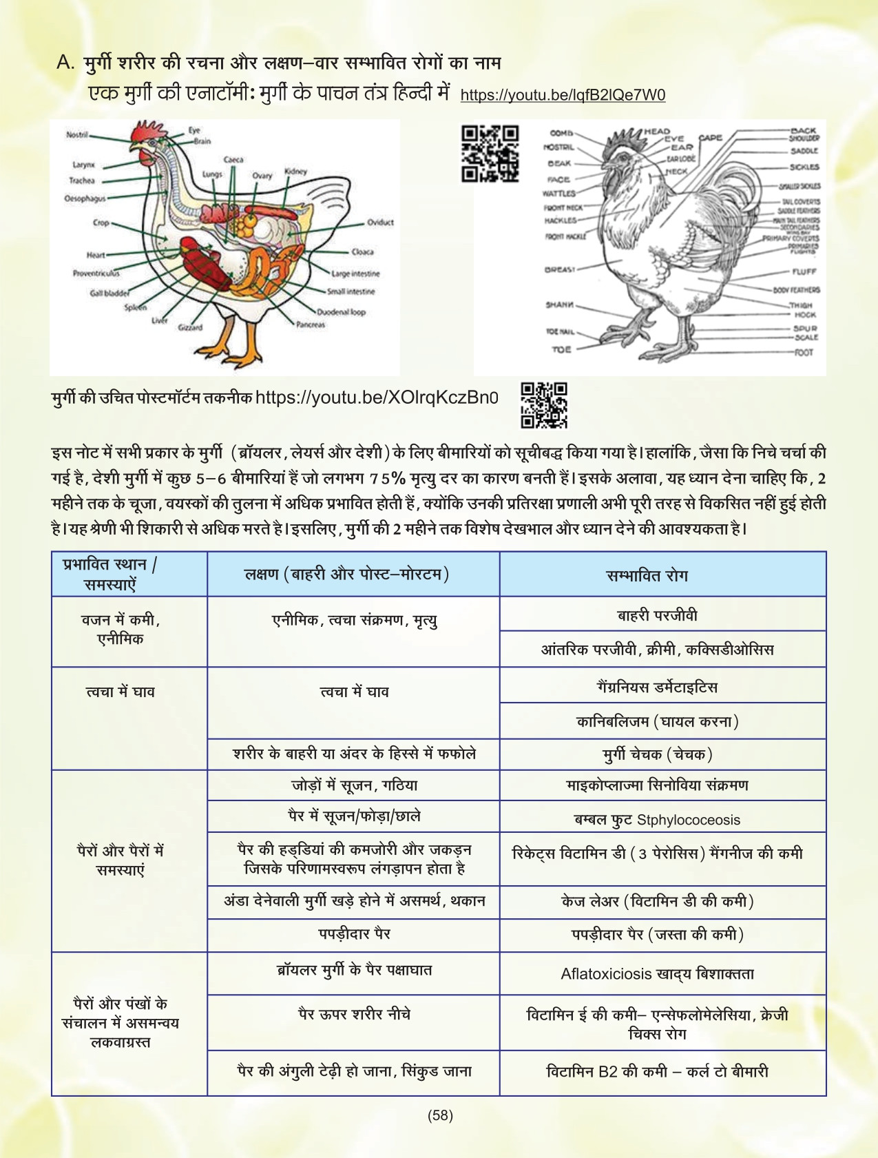 EVM Book-page-00058.jpg